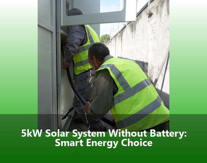 5kW Solar System Without Battery: Smart Energy Choice